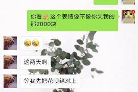 进贤企业清欠服务